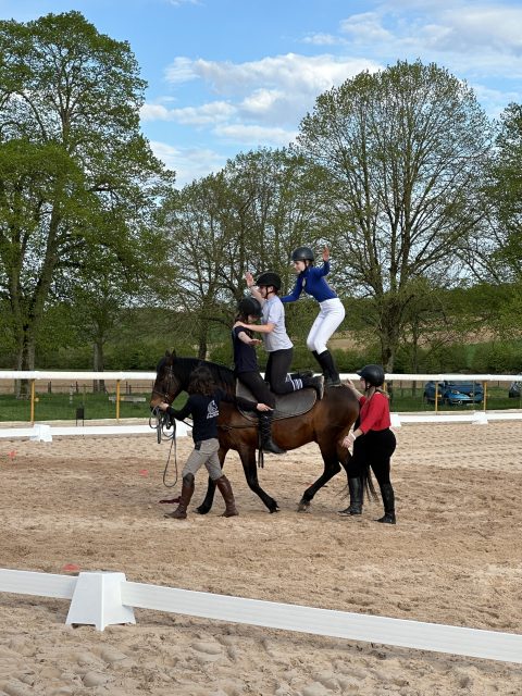 L’Écurie des Crins Noirs lance son site internet !
